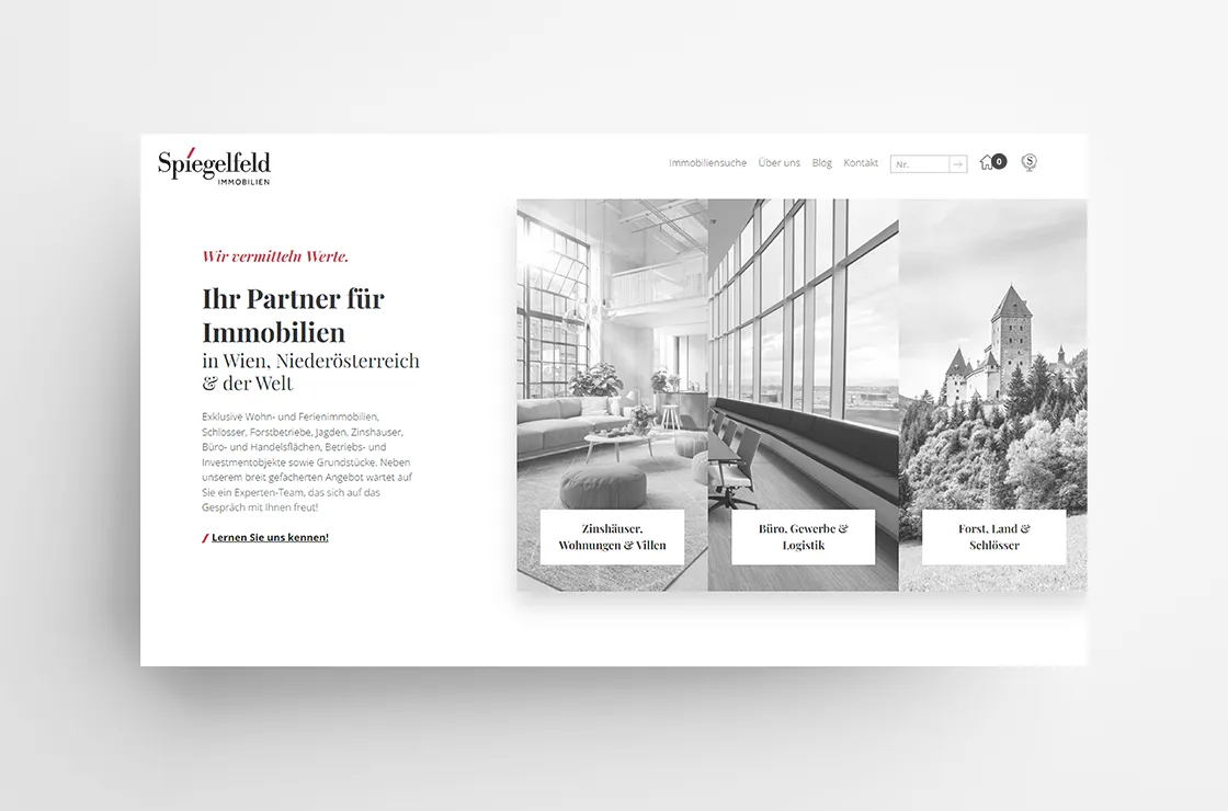 Spiegelfeld Webdesign Startseite Abm